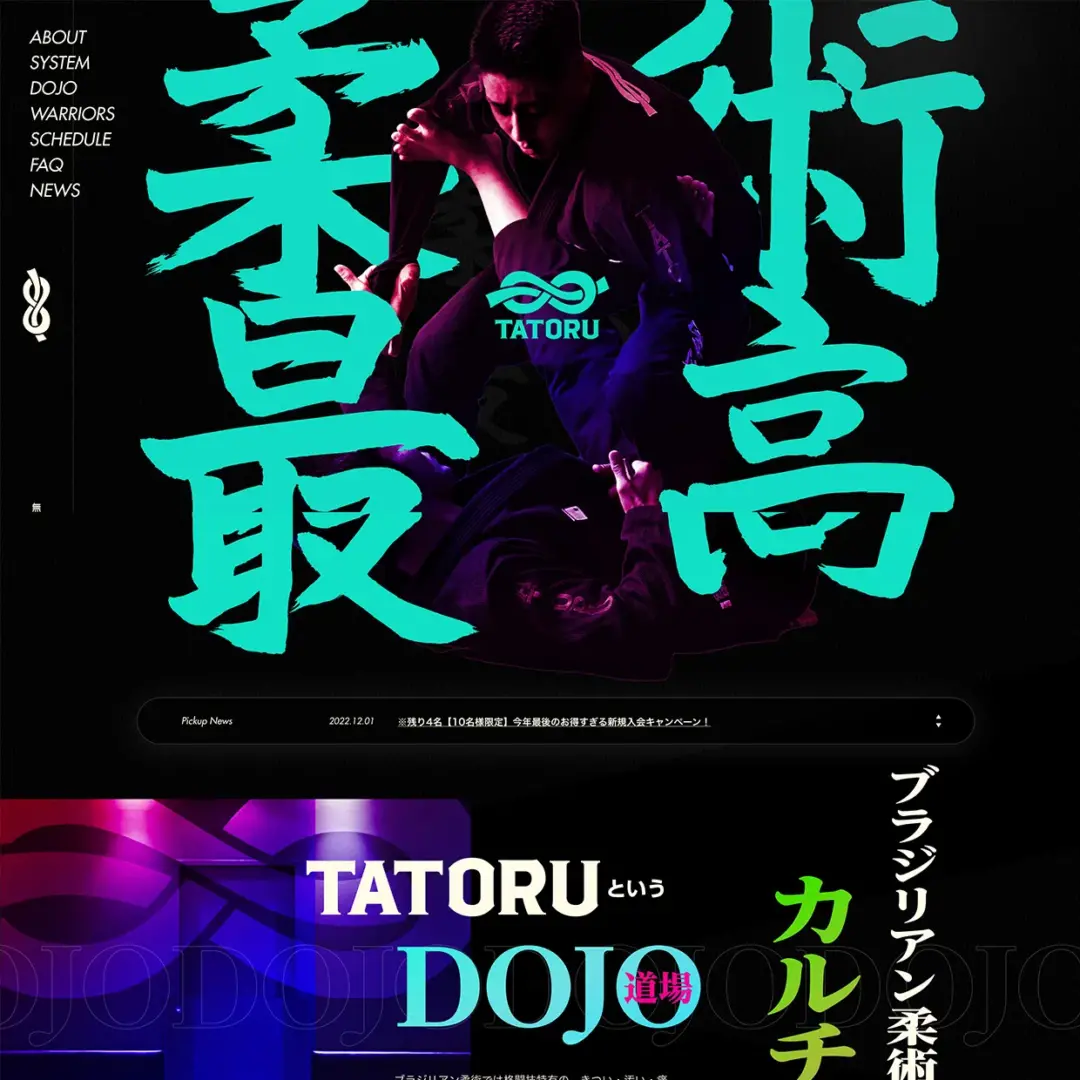 24.ブラジリアン柔術TATORU（タトル）｜Webサイト１００選